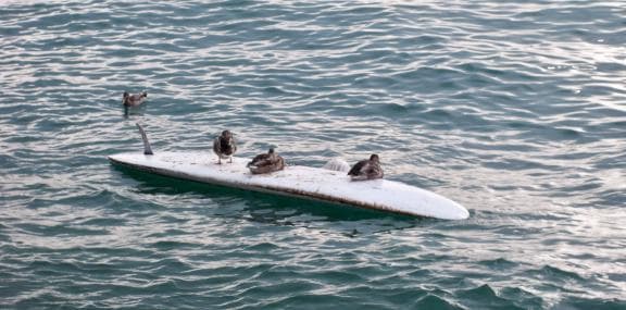 image from 20080906-164536.jpg