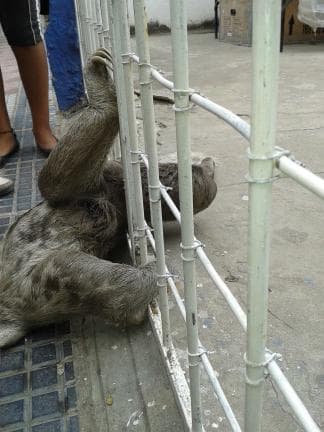 image from 20130311-134816.jpg