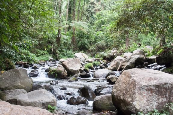 image from 20150831-162551.jpg