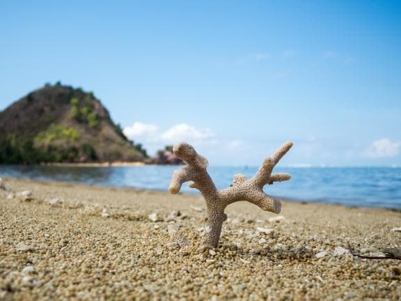 image from 20150904-095015.jpg