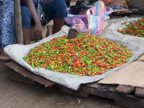 image from 20170708-113943.jpg