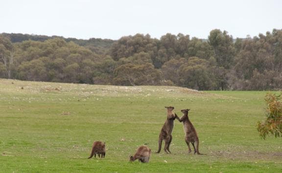 image from 20180920-140334.jpg